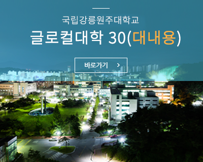 글로컬대학 30(대내용) 바로가기